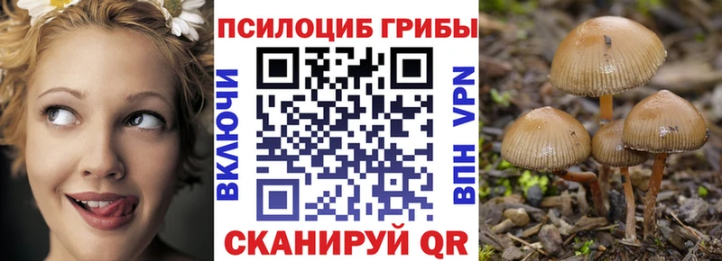 Псилоцибиновые грибы мицелий  Тобольск 